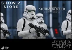 Hot Toys HT 1/6 Stormtrooper Storm Trooper MMS514 Star Wars Standard Version -Finest Toy Store 6760f5bf6e