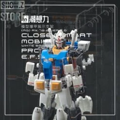 Inforce MG02 MG 1/100 RX-78-2 GUNDAM Ver.2.0 Internal Structure Showcase Display -Finest Toy Store 97a266fe1e