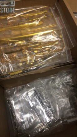 [SZ Custom] Nillson Work 1/60 MBF-P02 Gundam Astray Gold Frame W/ Electroplated Chrome Painting -Finest Toy Store 9de3d1c565