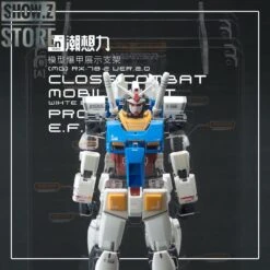 Inforce MG02 MG 1/100 RX-78-2 GUNDAM Ver.2.0 Internal Structure Showcase Display -Finest Toy Store ea3a7e4f81